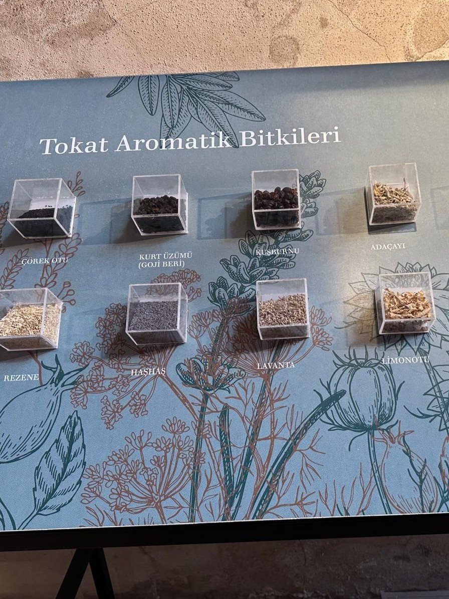 Etkinlik Görseli